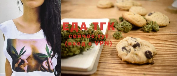 мдпв Ельня
