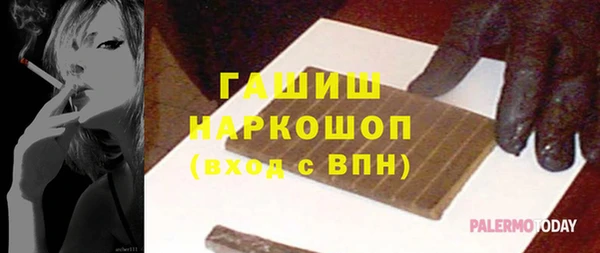 мдпв Ельня