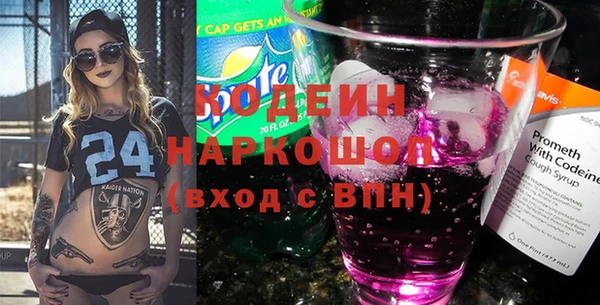 мдпв Ельня