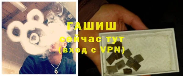 мдпв Ельня