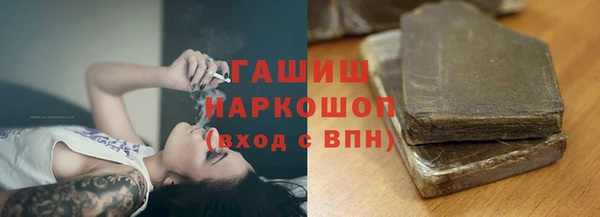 мдпв Ельня