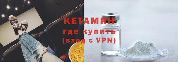 мдпв Ельня