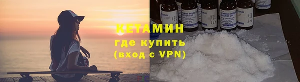 мдпв Ельня