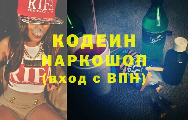 мдпв Ельня