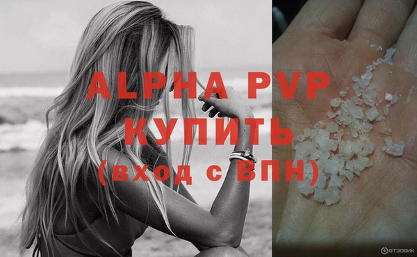 мдпв Ельня