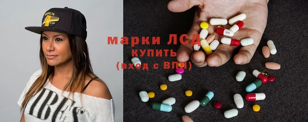 мдпв Ельня