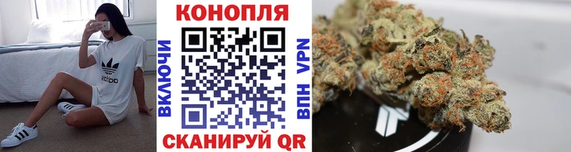 Купить закладки  Новодвинск  Марихуана сатива 